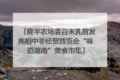 隆平农场袁谷米乳首发亮相中非经贸博览会“味道湖南”美食市集