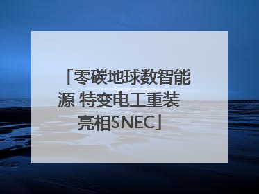 零碳地球数智能源 特变电工重装亮相SNEC