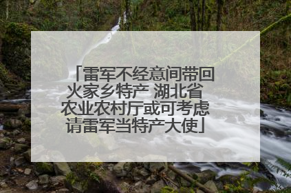 雷军不经意间带回火家乡特产 湖北省农业农村厅或可考虑请雷军当特产大使