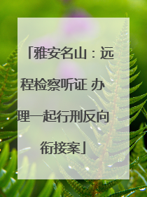雅安名山：远程检察听证 办理一起行刑反向衔接案