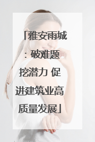 雅安雨城：破难题 挖潜力 促进建筑业高质量发展