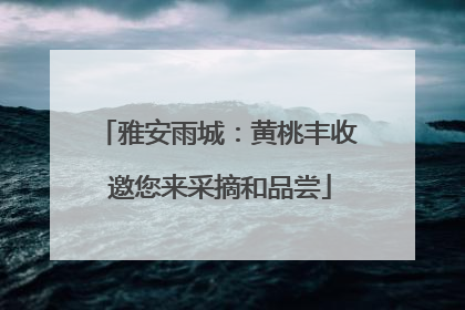 雅安雨城：黄桃丰收 邀您来采摘和品尝