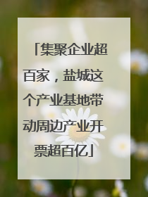 集聚企业超百家，盐城这个产业基地带动周边产业开票超百亿