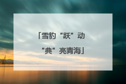 雪豹“跃”动 “典”亮青海