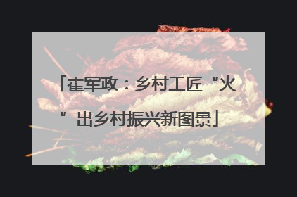 霍军政：乡村工匠“火”出乡村振兴新图景