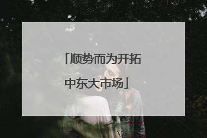 顺势而为开拓中东大市场