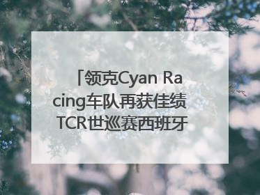 领克Cyan Racing车队再获佳绩 TCR世巡赛西班牙站包揽六座奖杯