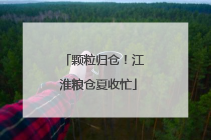 颗粒归仓！江淮粮仓夏收忙
