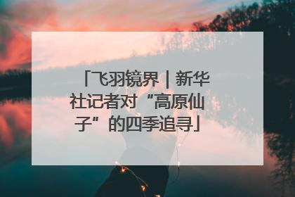 飞羽镜界｜新华社记者对“高原仙子”的四季追寻