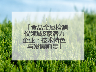 食品金属检测仪领域8家潜力企业：技术特色与发展前景