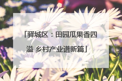 驿城区：田园瓜果香四溢 乡村产业谱新篇