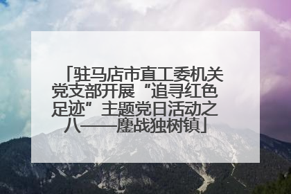 驻马店市直工委机关党支部开展“追寻红色足迹”主题党日活动之八——鏖战独树镇