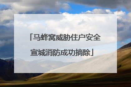 马蜂窝威胁住户安全 宣城消防成功摘除