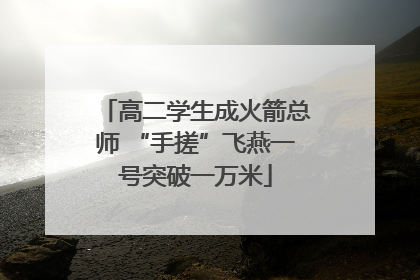 高二学生成火箭总师 “手搓”飞燕一号突破一万米