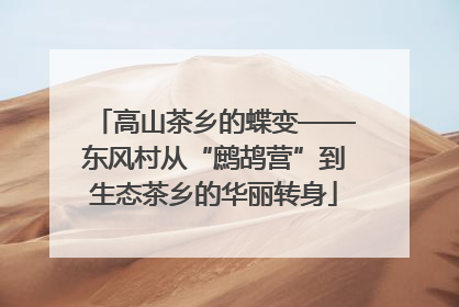 高山茶乡的蝶变——东风村从“鹧鸪营”到生态茶乡的华丽转身