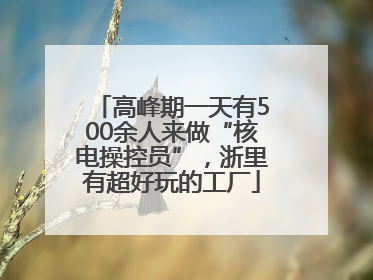 高峰期一天有500余人来做“核电操控员”，浙里有超好玩的工厂