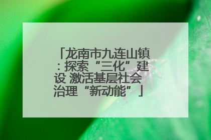 龙南市九连山镇：探索“三化”建设 激活基层社会治理“新动能”