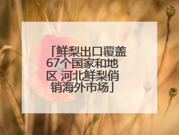 鲜梨出口覆盖67个国家和地区 河北鲜梨俏销海外市场
