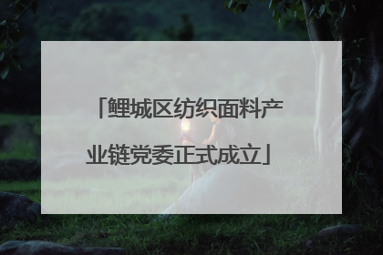 鲤城区纺织面料产业链党委正式成立