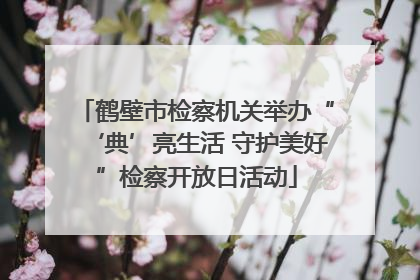 鹤壁市检察机关举办“‘典’亮生活 守护美好”检察开放日活动
