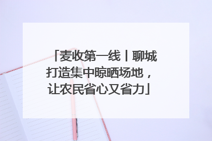 麦收第一线丨聊城打造集中晾晒场地，让农民省心又省力