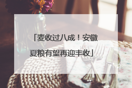 麦收过八成！安徽夏粮有望再迎丰收