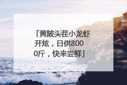 黄陂头茬小龙虾开炫，日供8000斤，快来尝鲜