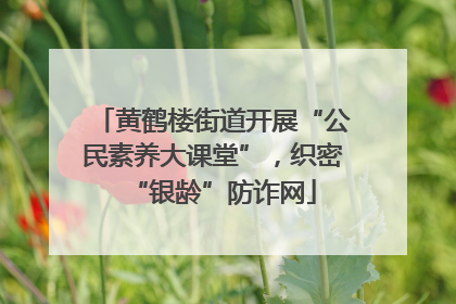 黄鹤楼街道开展“公民素养大课堂”，织密“银龄”防诈网