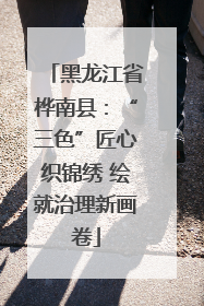 黑龙江省桦南县：“三色”匠心织锦绣 绘就治理新画卷