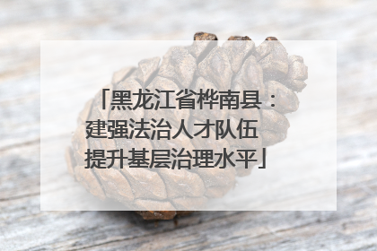 黑龙江省桦南县：建强法治人才队伍 提升基层治理水平