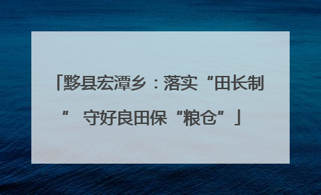 黟县宏潭乡：落实“田长制” 守好良田保“粮仓”