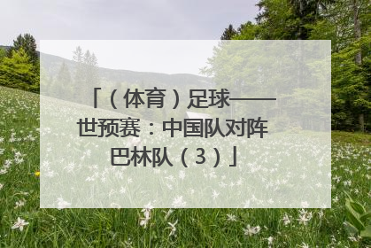 （体育）足球——世预赛：中国队对阵巴林队（3）