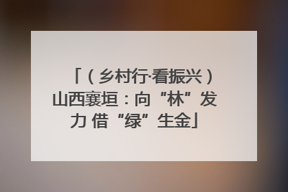 （乡村行·看振兴）山西襄垣：向“林”发力 借“绿”生金