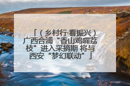 （乡村行·看振兴）广西合浦“香山鸡嘴荔枝”进入采摘期 将与西安“梦幻联动”