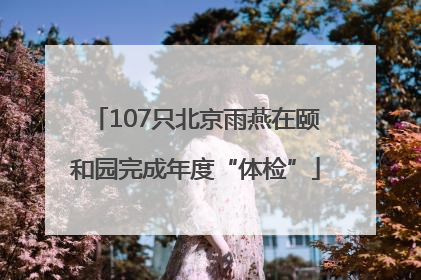 107只北京雨燕在颐和园完成年度“体检”