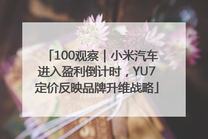 100观察｜小米汽车进入盈利倒计时，YU7定价反映品牌升维战略