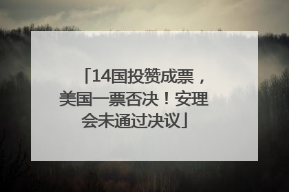 14国投赞成票，美国一票否决！安理会未通过决议