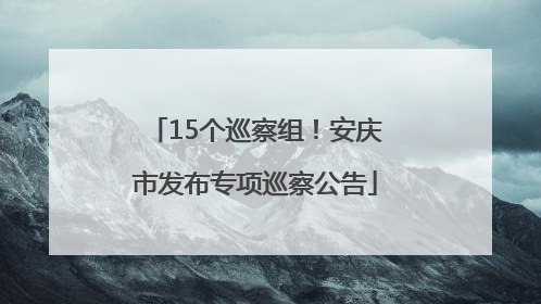 15个巡察组！安庆市发布专项巡察公告