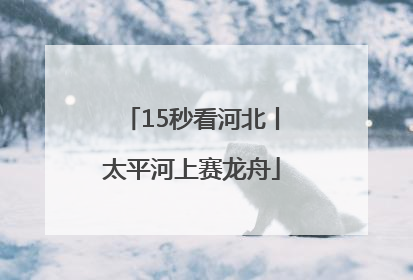 15秒看河北丨太平河上赛龙舟