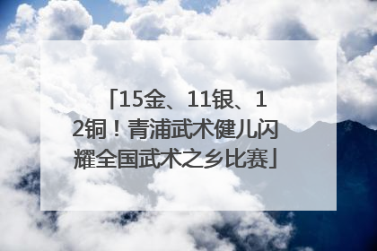 15金、11银、12铜！青浦武术健儿闪耀全国武术之乡比赛