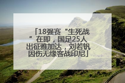 18强赛“生死战”在即，国足25人出征雅加达，刘若钒因伤无缘客战印尼