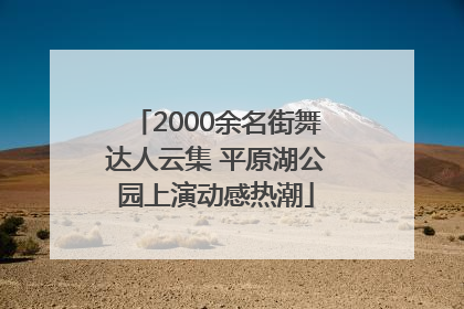 2000余名街舞达人云集 平原湖公园上演动感热潮