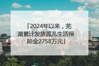 2024年以来，芜湖累计发放孤儿生活保障金2758万元