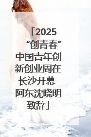 2025“创青春”中国青年创新创业周在长沙开幕 阿东沈晓明致辞