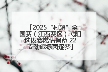 2025“村超”全国赛（江西赛区）弋阳选拔赛燃情揭幕 22支劲旅绿茵逐梦