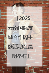 2025云南国际友城合作周主题活动在昆明举行