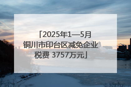2025年1—5月铜川市印台区减免企业税费 3757万元