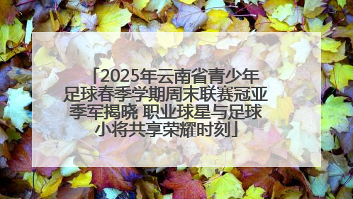 2025年云南省青少年足球春季学期周末联赛冠亚季军揭晓 职业球星与足球小将共享荣耀时刻