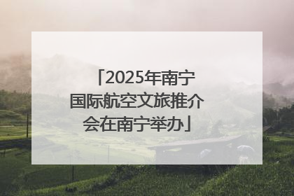 2025年南宁国际航空文旅推介会在南宁举办