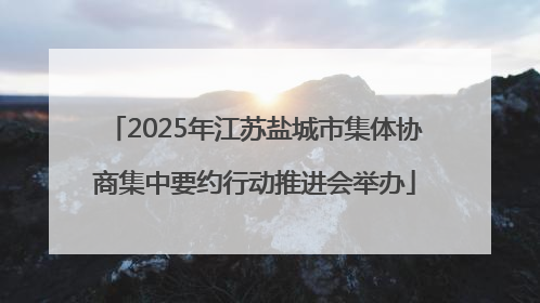 2025年江苏盐城市集体协商集中要约行动推进会举办
